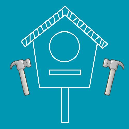 Nest Improvement Tips